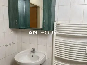 Pronájem bytu 1+kk, Praha - Libeň, Kurta Konráda, 29 m2