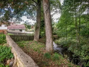 Prodej rodinného domu, Milíkov, 248 m2