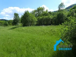 Pronájem zahrady, Malá Veleň, 3534 m2