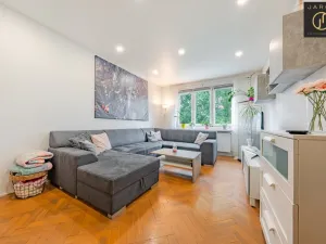 Prodej bytu 3+1, Kladno, Vitry, 76 m2