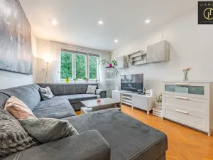 Prodej bytu 3+1, Kladno, Vitry, 76 m2