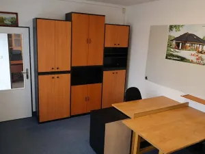Pronájem komerční nemovitosti, Mladá Boleslav, Ptácká, 52 m2