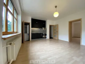Pronájem bytu 2+kk, Brno, Obilní trh, 46 m2