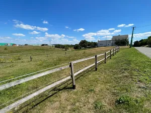 Prodej louky, Ptýrov, 1055 m2