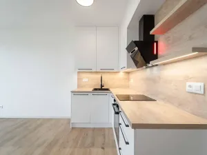 Pronájem bytu 1+kk, Olomouc, Aloise Rašína, 29 m2