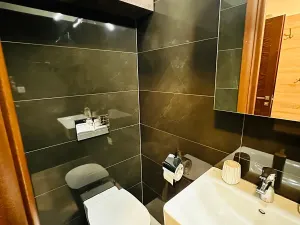 Prodej bytu 3+kk, Karlovy Vary, Chebská, 67 m2