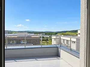 Prodej bytu 3+kk, Žamberk, Velký Hájek, 90 m2