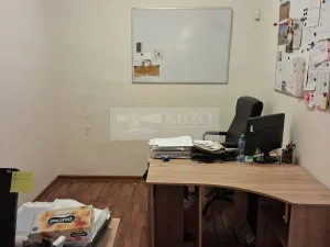 Pronájem bytu 2+kk, Praha - Vinohrady, Mánesova, 45 m2