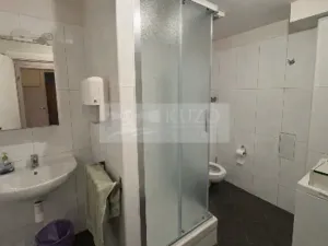 Pronájem bytu 2+kk, Praha - Vinohrady, Mánesova, 45 m2
