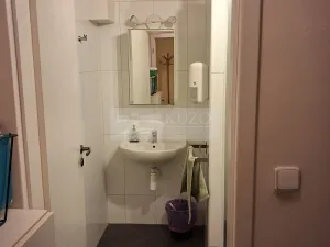Pronájem bytu 2+kk, Praha - Vinohrady, Mánesova, 45 m2