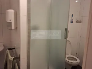 Pronájem bytu 2+kk, Praha - Vinohrady, Mánesova, 45 m2