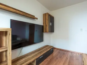 Pronájem bytu 2+1, Staré Město, Brněnská, 56 m2