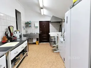 Pronájem restaurace, Písek, Hradiště, 497 m2