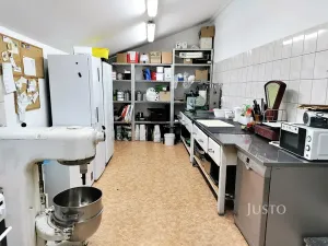 Prodej rodinného domu, Písek, Hradiště, 497 m2