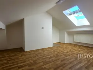 Prodej vícegeneračního domu, Písek, V Koutě, 786 m2