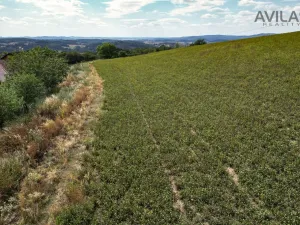 Prodej pozemku pro bydlení, Soběhrdy, Soběhrdy, 7885 m2