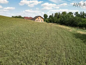 Prodej pozemku pro bydlení, Soběhrdy, Soběhrdy, 7885 m2