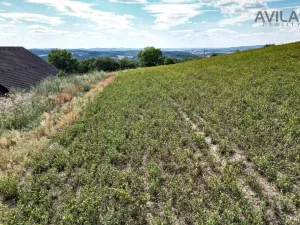 Prodej pozemku pro bydlení, Soběhrdy, Soběhrdy, 7885 m2