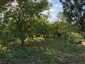 Prodej rodinného domu, Vřesovice, 45 m2