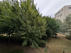 Pronájem bytu 2+kk, Praha - Nusle, K sídlišti, 72 m2