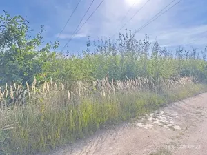 Prodej podílu pozemku, Hluboká nad Vltavou, 1640 m2