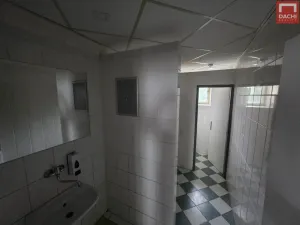 Pronájem obchodního prostoru, Holešov, Masarykova, 253 m2