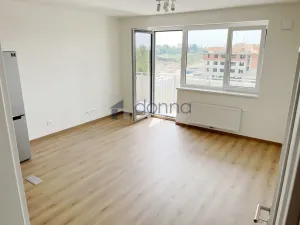 Pronájem bytu 2+kk, Praha, Sedlářova, 52 m2