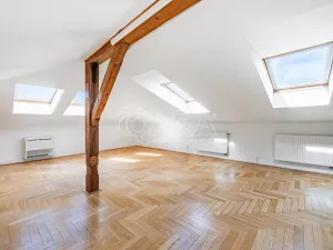 Pronájem bytu 5+1, Praha - Nové Město, Vodičkova, 184 m2