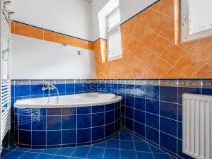 Pronájem bytu 5+1, Praha - Nové Město, Vodičkova, 184 m2
