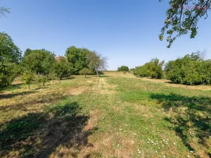 Prodej rodinného domu, Křenovice, 227 m2