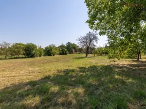 Prodej rodinného domu, Křenovice, 227 m2