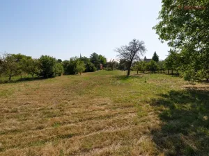 Prodej rodinného domu, Křenovice, 227 m2