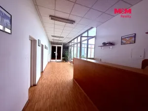 Pronájem kanceláře, Praha, Štúrova, 20 m2