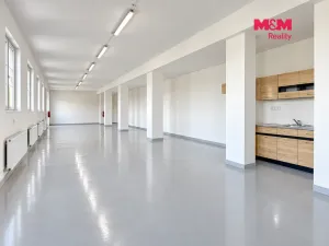 Pronájem výrobních prostor, Radošovice, 158 m2