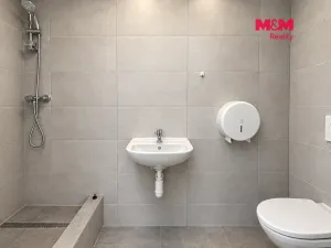 Pronájem výrobních prostor, Radošovice, 158 m2