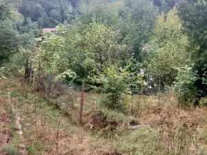 Prodej chaty, Hlubočky - Hrubá Voda, 52 m2