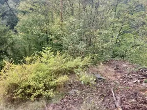 Prodej chaty, Hlubočky - Hrubá Voda, 52 m2
