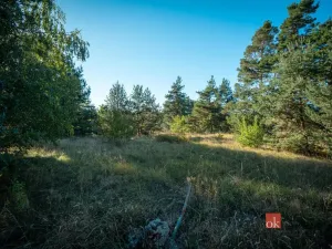 Prodej pozemku pro bydlení, Kadov, 2135 m2