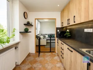 Prodej bytu 3+1, Plzeň - Východní Předměstí, Rychtaříkova, 67 m2