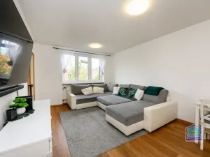 Prodej bytu 3+1, Plzeň - Východní Předměstí, Rychtaříkova, 67 m2