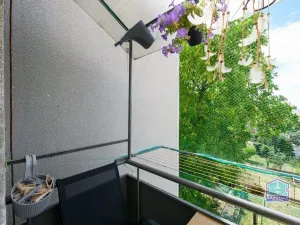 Prodej bytu 3+1, Plzeň - Východní Předměstí, Rychtaříkova, 67 m2