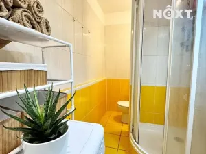 Prodej bytu 1+kk, Kroměříž, 17. listopadu, 29 m2