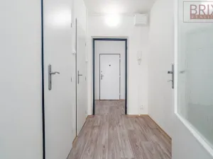Prodej bytu 1+kk, Praha, Vavřenova, 28 m2