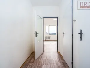 Prodej bytu 1+kk, Praha, Vavřenova, 28 m2