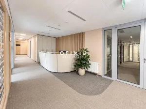 Pronájem kanceláře, Praha - Košíře, Vrchlického, 750 m2