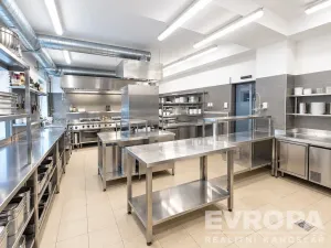 Pronájem restaurace, Plzeň, okres plzeň-město, 245 m2