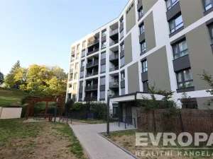 Pronájem bytu 1+kk, Praha - Žižkov, Olgy Havlové, 40 m2