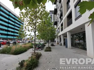 Pronájem bytu 1+kk, Praha - Žižkov, Olgy Havlové, 40 m2