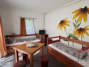 Prodej rodinného domu, Prášily, 120 m2
