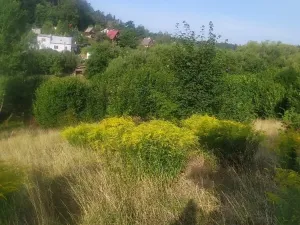 Prodej pozemku, Olomouc - Radíkov, 411 m2